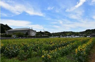 市立館野小学校