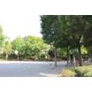 公園