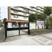 幼稚園、保育園