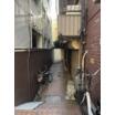 共有部分