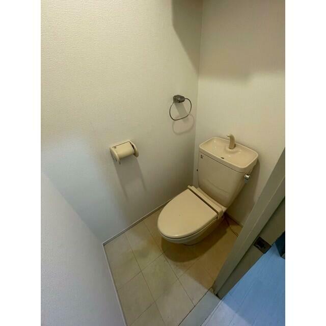 参考写真