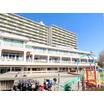 幼稚園、保育園
