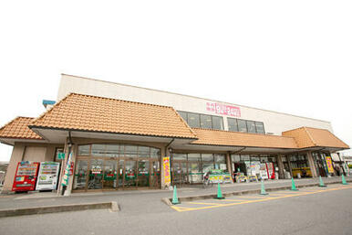 とりせん小山東店