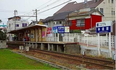 ことでん林道駅さん