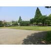 公園