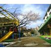 幼稚園、保育園