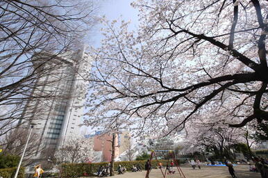 礫川公園