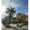 公園