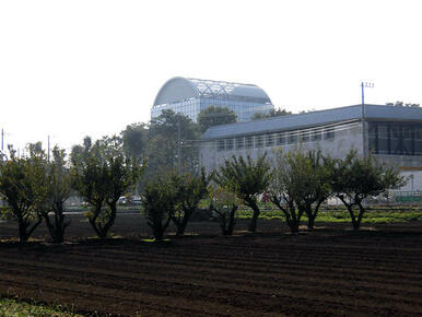 私立武蔵野美術大学