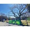 公園