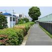 公園