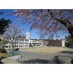 小学校