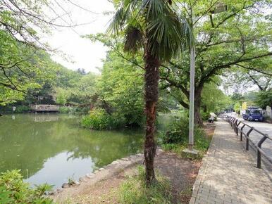 東京都立石神井公園