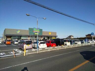トウズ 成東店