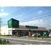 周辺環境