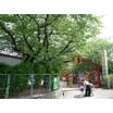 幼稚園、保育園