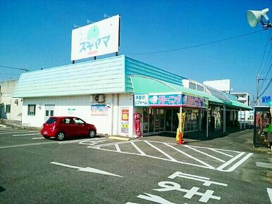 ドラッグスギヤマ　木曽川店