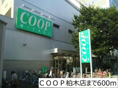 ＣＯＯＰ柏木店