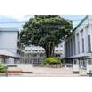 中学校