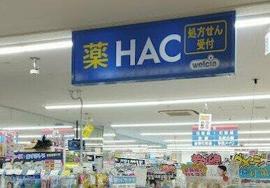 ハックドラッグ川崎柿生店