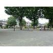 公園