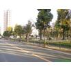 公園