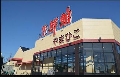 生鮮館やまひこ 南大通店