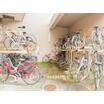 共有部分