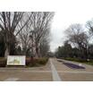 公園