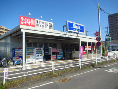 ビッグ・エー 所沢狭山ケ丘店