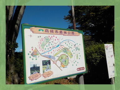 森林公園