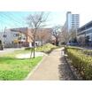 公園