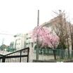 中学校