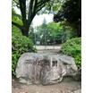 公園