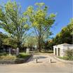 公園
