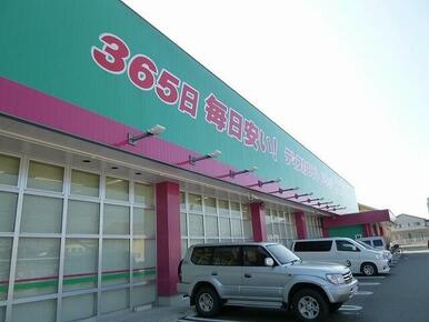 コスモス
