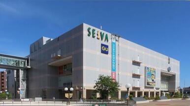 SELVA
