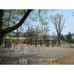 公園