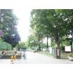 公園