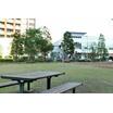 公園