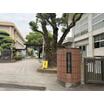 小学校