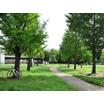 公園