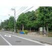 公園