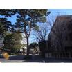 大学