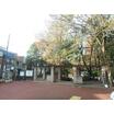 公園