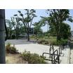 公園