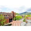 大学