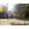 公園