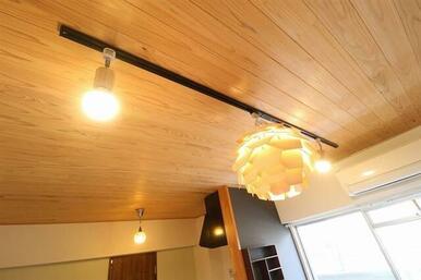 照明(参考写真)