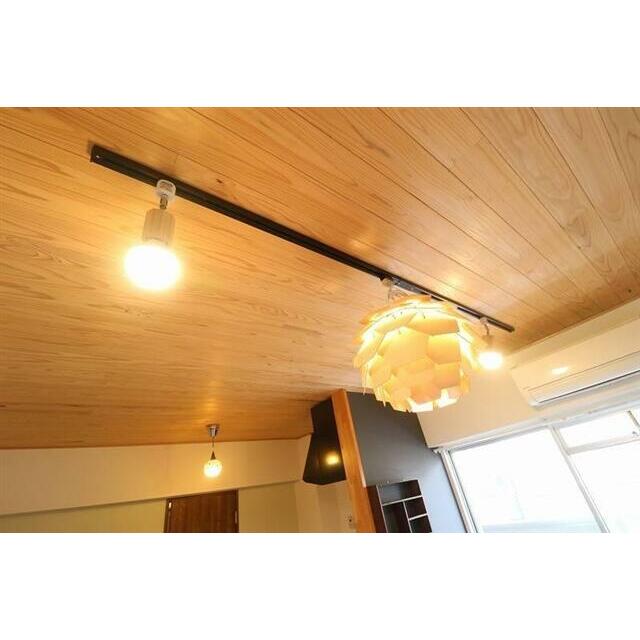 照明(参考写真)